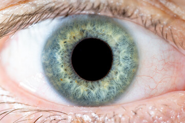 High magnification of Male Blue-Green Colored Eye With Lashes. Pupil Wide Opened. Close Up....