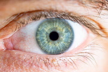 Male Blue-Green Colored Eye With Lashes. Pupil closed. Close Up. Structural Anatomy. Human Iris...