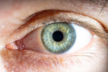 Male Blue-Green Colored Eye With Lashes. Pupil opened. Close Up. Structural Anatomy. Human Iris...