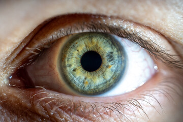 Female Blue-Green Colored Eye with brown pigment spots. Pupil Opened. Close Up. Structural Anatomy....
