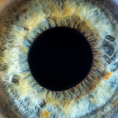 Super magnification of the female green-blue coloured eye with yellow pigment spots. Close-up of...