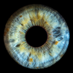 Macro photo of human eye on black background. Close-up of female blue-green colored eye with yellow...