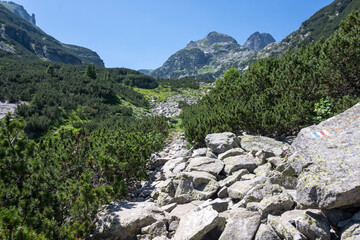 Landscape of Rila Mountain near Malyovitsa hut, Bulgaria