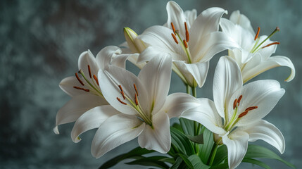 Fototapeta na wymiar Serene White Lily Flowers with Lush Green Leaves Close-Up