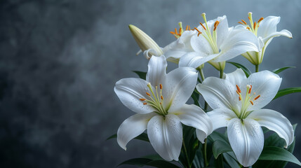 Fototapeta na wymiar Elegant White Lilies Bloom with Freshness on Textured Backdrop