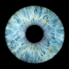 Macro photo of human eye on black background. Close-up of male blue-green colored eye. Structural...