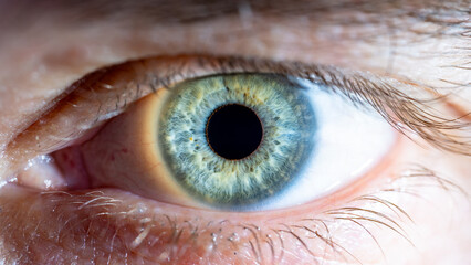 Male Blue-Green Colored Eye With Lashes. Pupil Opened. Close Up. Structural Anatomy. Human Iris...