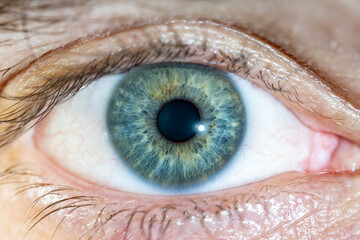 High Resolution male Green-Blue Colored Eye with Yellow Pigment Spots and Pupil Wide Open. Close...