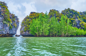 Ko Thalu Ok Island with mangroves, Phang Nga Bay, Thailand