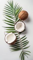 Fototapeta na wymiar A fresh whole coconut and a halved coconut alongside a palm leaf resting on a white background.