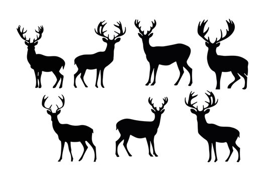 Set of silhouettes Deer, Horned and hoofed wild animal collection isolated in white background