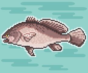 Fish Swimming in the River,Pixel art,Vector Fish,Freshwater fish,Pixel art Vector