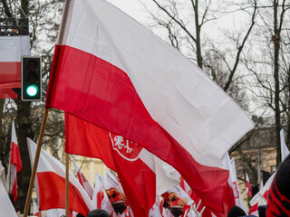 Warsaw, demonstration of free poles.