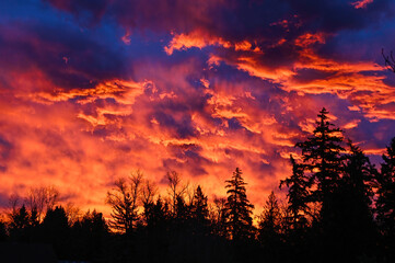 Oregon Sunrise