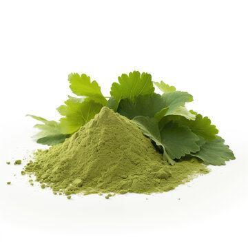 close up pile of finely dry organic fresh raw ladys mantle leaf powder isolated on white background. bright colored heaps of herbal, spice or seasoning recipes clipping path. selective focus