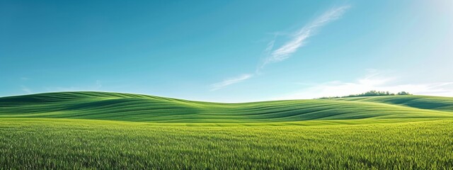 Rolling green hills under a vast blue sky with a gentle breeze visible in the sway of the grass.