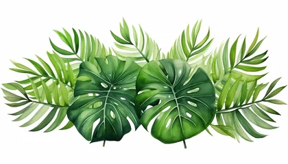 Foto auf Alu-Dibond Monstera Watercolor banner tropical leaves, isolated, white background