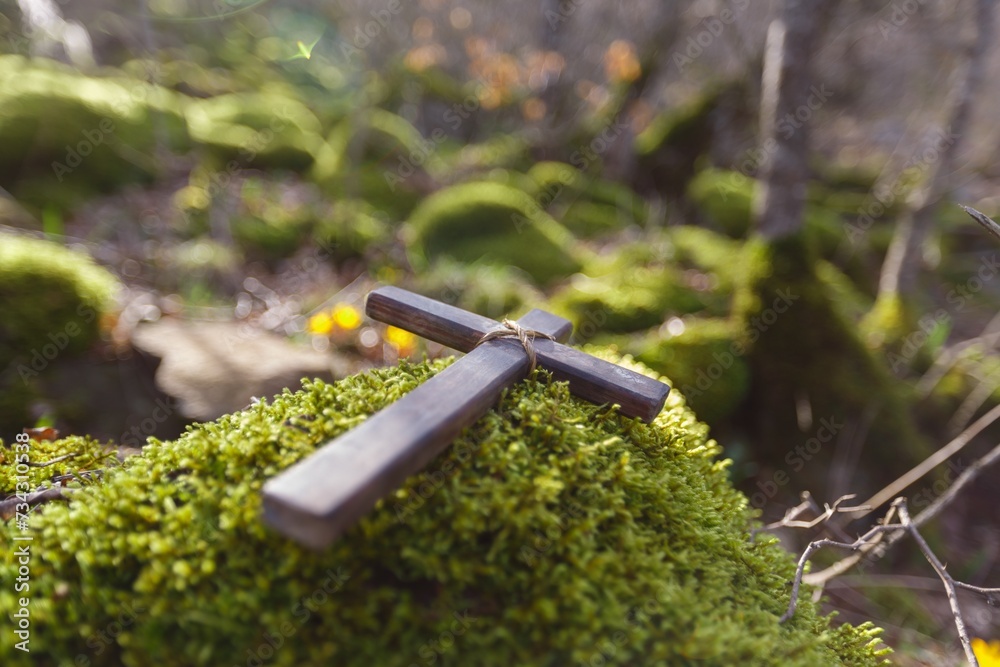 Wall mural wooden cross with flower in fresh spring forest