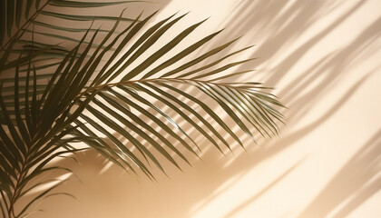 Fototapeta na wymiar Tropical palm tree branch, summer sunlight, nature beauty generated by AI