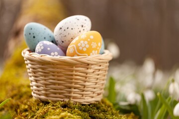 Colorful Easter Eggs in Basket on Spring Background