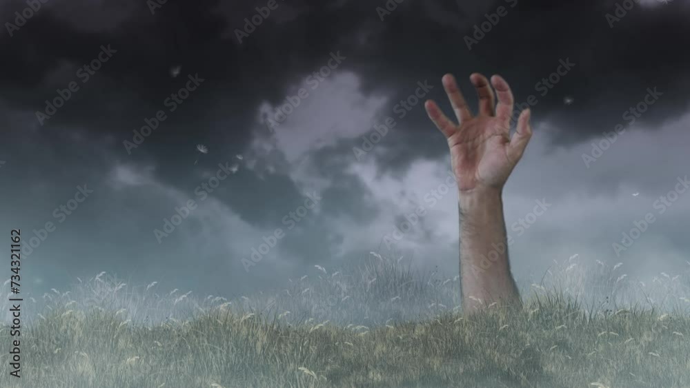Wall mural hand rising from grass field with fog 4k loop features a hand rising out of blowing grass with fog a