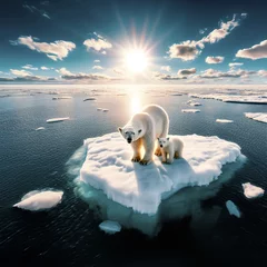 Fototapete Polar bear and cub on a tiny floating patch of ice © Fab