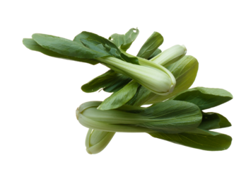 Kale fly in mid air, green fresh vegetable chinese kale falling. Organic fresh vegetable with eaten leaf of chinese kale, heap close up texture. White background isolated freeze motion