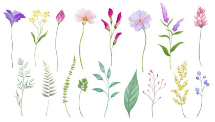 Spring flower and leaf vector illustration set. Elegant botanical flowers.