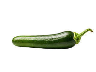 a green vegetable with stem