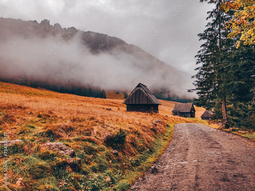 Sticker chocholowska valley in autumn - tatra mountains