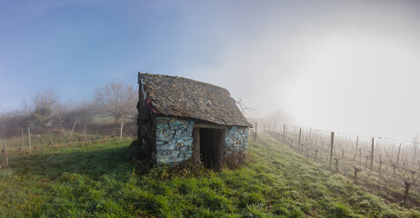 Vertougit (Corrèze, Nouvelle aquitaine, France) - Vue panoramique du vignoble de la vallée de la Vézère en hiver sous la brume avec une cabane de vigneron bleue pittoresque - 734336159