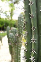 Naturaleza al aire libre