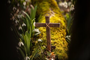 Wooden Cross with flower in fresh spring forest
