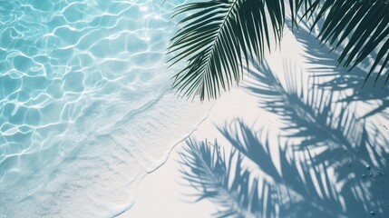 a palm tree leaves on a beach - obrazy, fototapety, plakaty