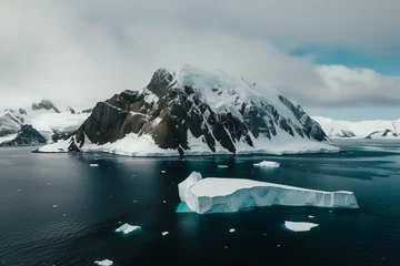 Fotobehang Antartica Ice Melting  © rouda100