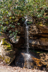 Small Trickling Waterfall in the Forest at New River Gorge National Park