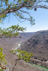 Canyon River View Through Forest Trees at New River Gorge National Park
