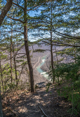 Canyon River View Through Forest Trees at New River Gorge National Park