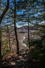 Canyon River View Through Forest Trees at New River Gorge National Park