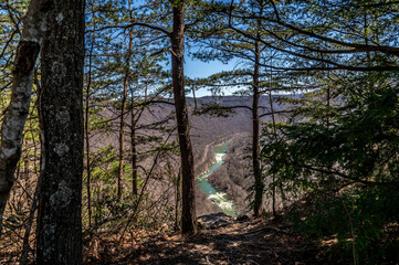 Canyon River View Through Forest Trees at New River Gorge National Park