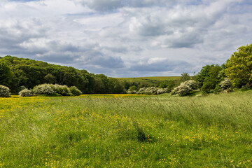 Obraz premium A view over Sussex countryside, on a sunny day in May