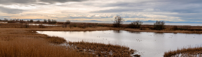 George C. Reifel Migratory Bird Sanctuary. The marshlands are home to migratory bird species and a...