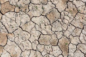 Detalle de tierra seca agrietada debido a la sequía	y al cambio climático