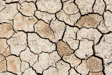 Detalle de tierra seca agrietada debido a la sequía	y al cambio climático
