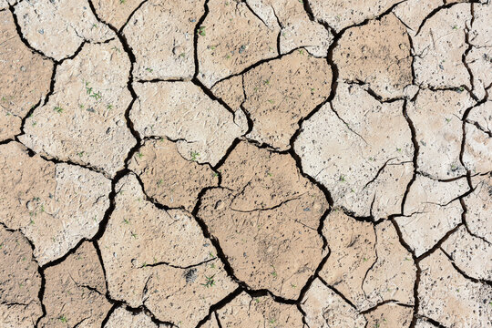 Detalle de tierra seca agrietada debido a la sequ&iacute;a	y al cambio clim&aacute;tico