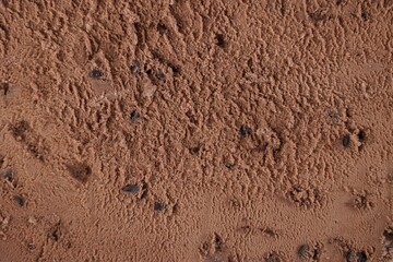 Chocolate Chips Ice Cream Texture