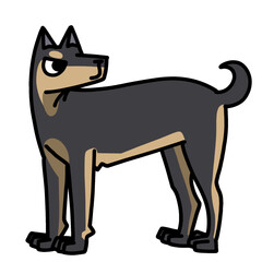 cute Doberman dog transparent background vector illustration	