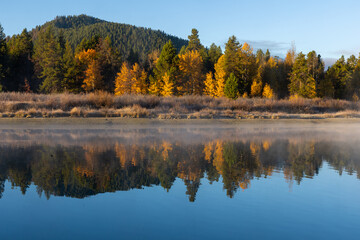 Autumn colors reflected in a lake in Grand Tetons National Park