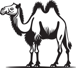 Camel Lineart Illustration