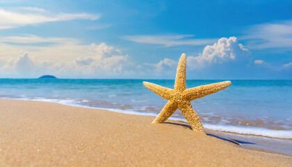 Fototapeta na wymiar Starfish on the beach with sea and sky background. Summer vacation concept. copy space for your text or logo